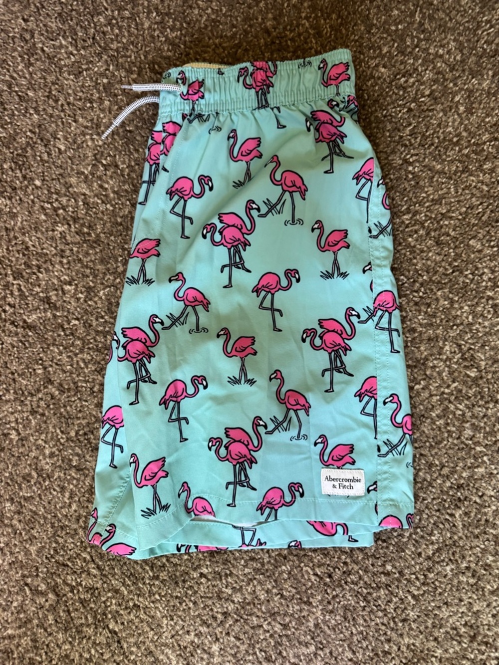 Abercrombie & Fitch Mint Swim Shorts with Pink Flamingos